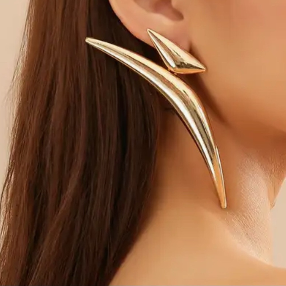 Abstract Design Earrings